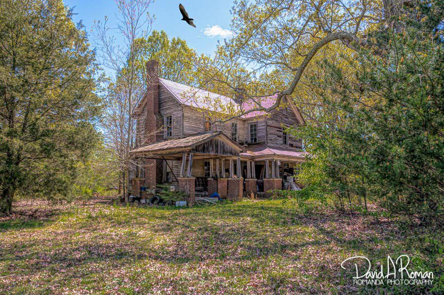 Spring on the farm